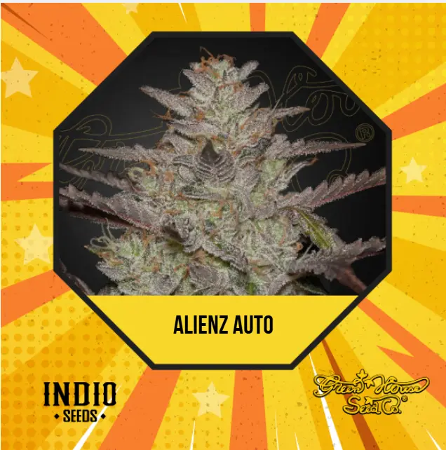 Alienz Auto x6 - Green House