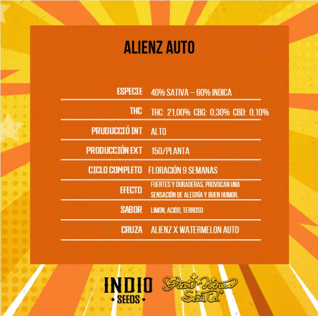 Alienz Auto x6 - Green House - Imagen 2