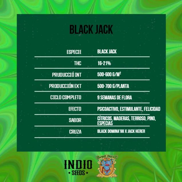 BLACK JACK 3+1 - SWEET SEEDS - Imagen 2