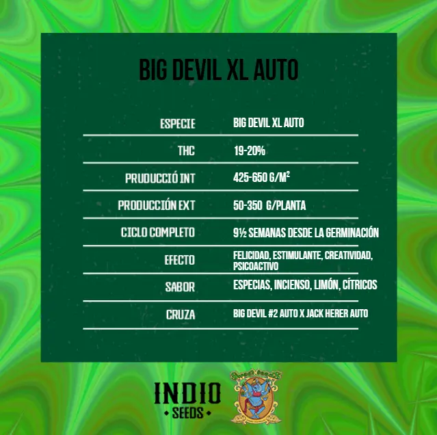 BIG DEVIL XL AUTO 3+1 - SWEET SEEDS - Imagen 2