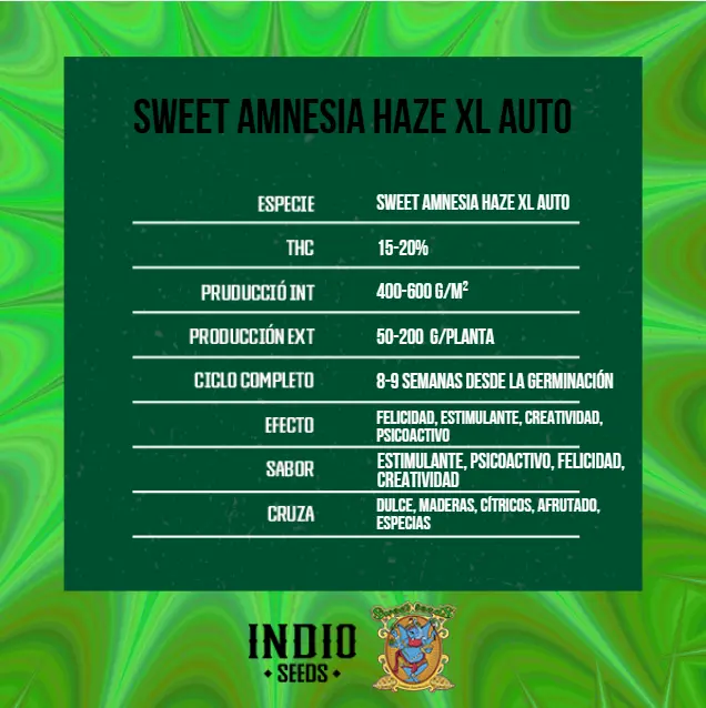 SWEET AMNESIA HAZEL XL AUTO 3+1 - SWEET SEEDS - Imagen 2