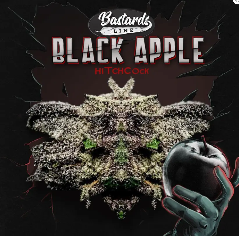 Bastards Line: Black Apple Hitchcock – fem