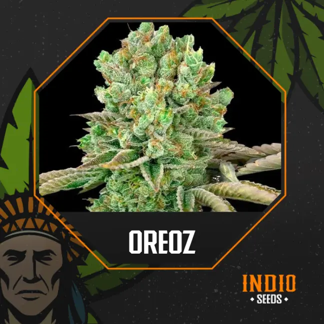 Oreoz x5 ¡NUEVA! - Granel