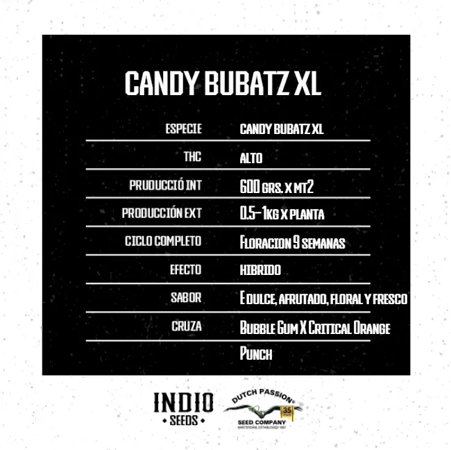 Candy Bubatz XL x3 - Dutch Passion - Imagen 2