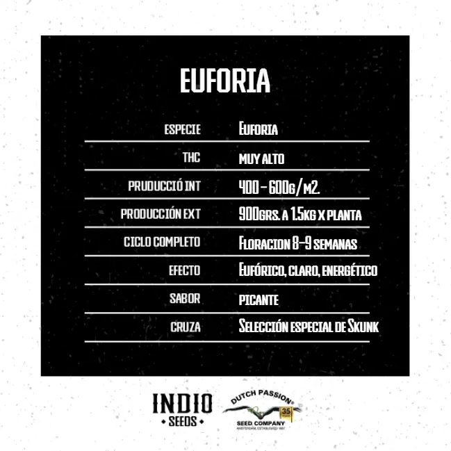 Euforia x3 – DutchPassion - Imagen 2
